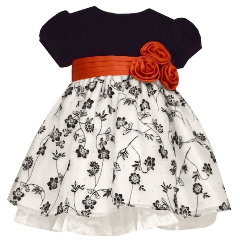 Bonnie Jean Baby 12 Months Velvet Floral Dress